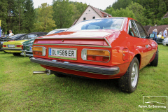 310-2B6A2949