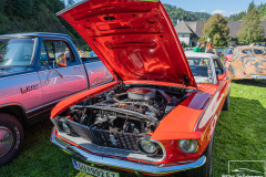 D50_9180