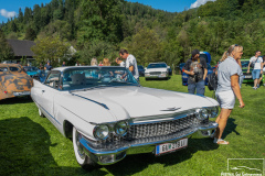D50_9181