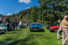 D50_9271