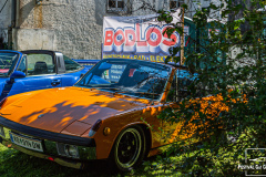 D50_9316