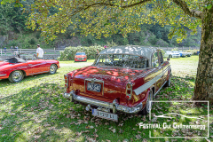 D50_3363