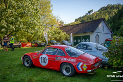 D50_8184