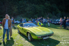 D50_8186