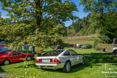 D50_8206