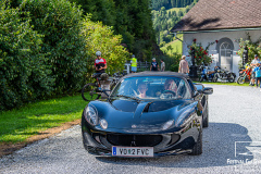 D50_8253