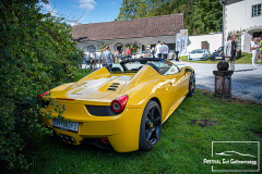 D50_8257