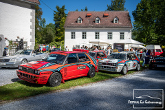 D50_8259
