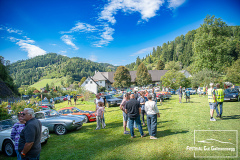 D50_8287