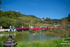 D50_8298