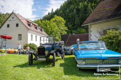 D50_8336