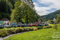 D50_8350
