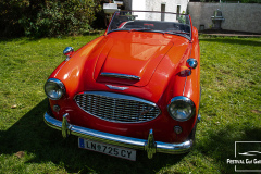 D50_8384