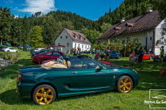 D50_8391