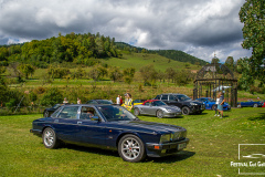 D50_8407