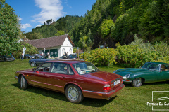D50_8412