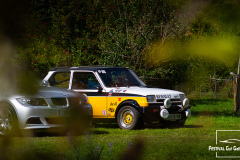D50_8419